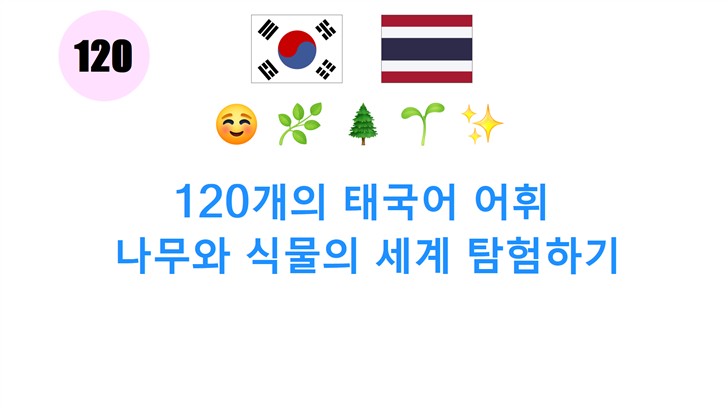 120개의 태국어 어휘: 나무와 식물의 세계 탐험하기